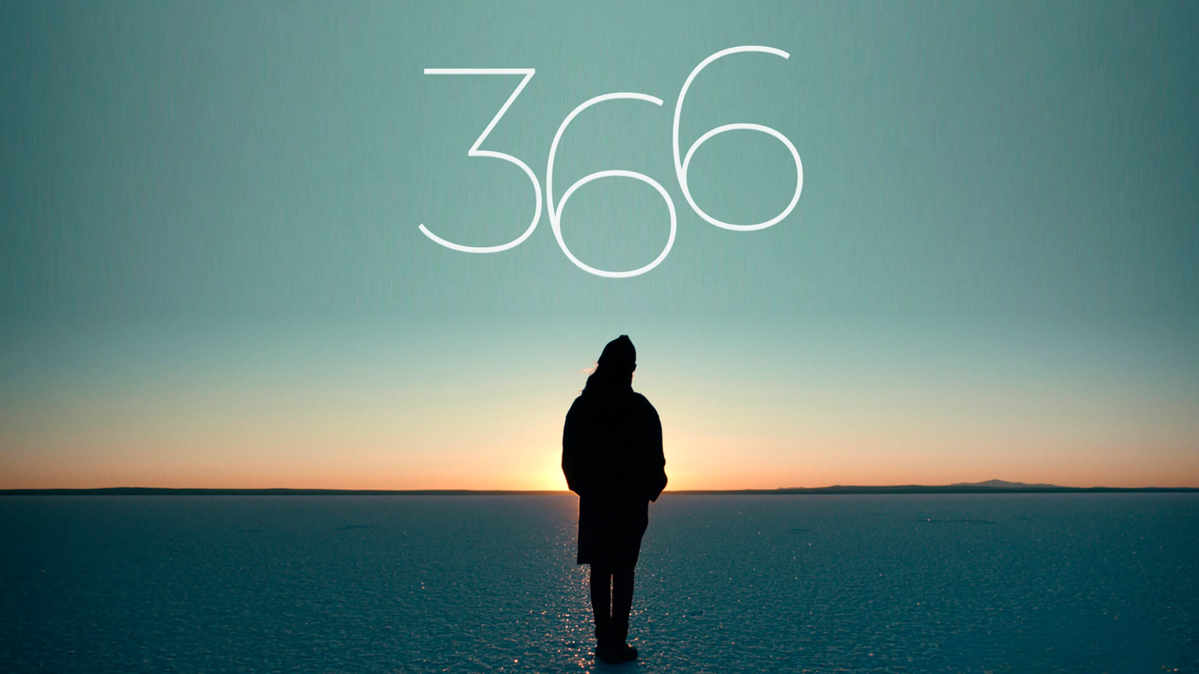 366 poster